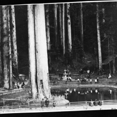 sequoia park people.jpg