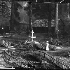 sequoia park 1906.jpg