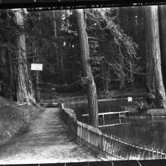 sequoia park walkway.jpg