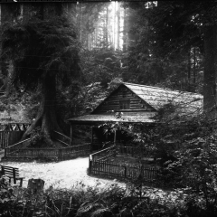 Sequoia park building.jpg