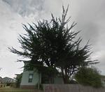 1602 B Street 2.jpg