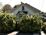 28 Del Norte Street.jpg