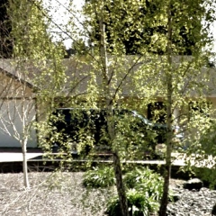 2004 Huntoon Lane.jpg