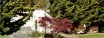 1812 McFarland Street.jpg